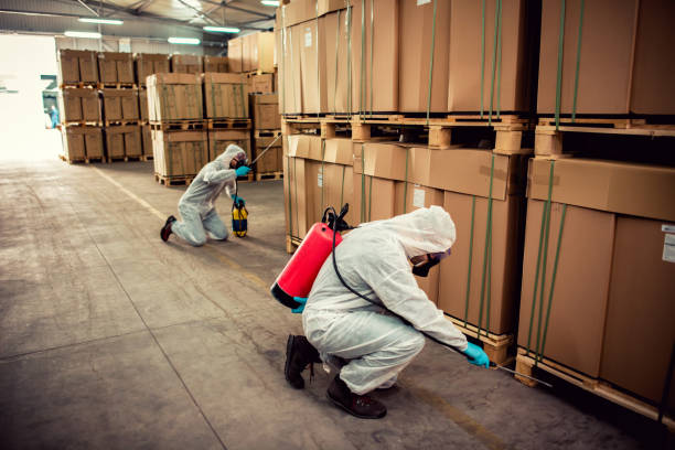 Flea Control Services in Charleroi, PA