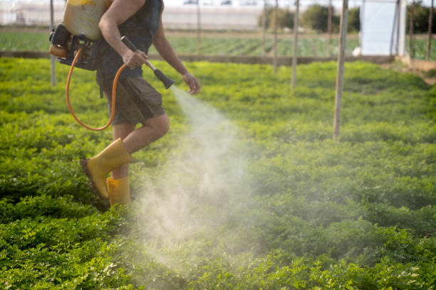 Pest Control Cost in Charleroi, PA