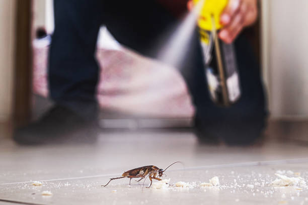 Best Exterminator Services  in Charleroi, PA