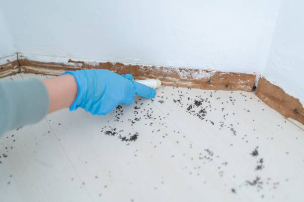 Best Insect Control  in Charleroi, PA